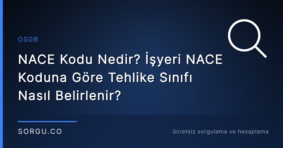 NACE Kodu Sorgulama: NACE Kodu Nedir, Tehlike Sınıfı Nasıl Bulunur?