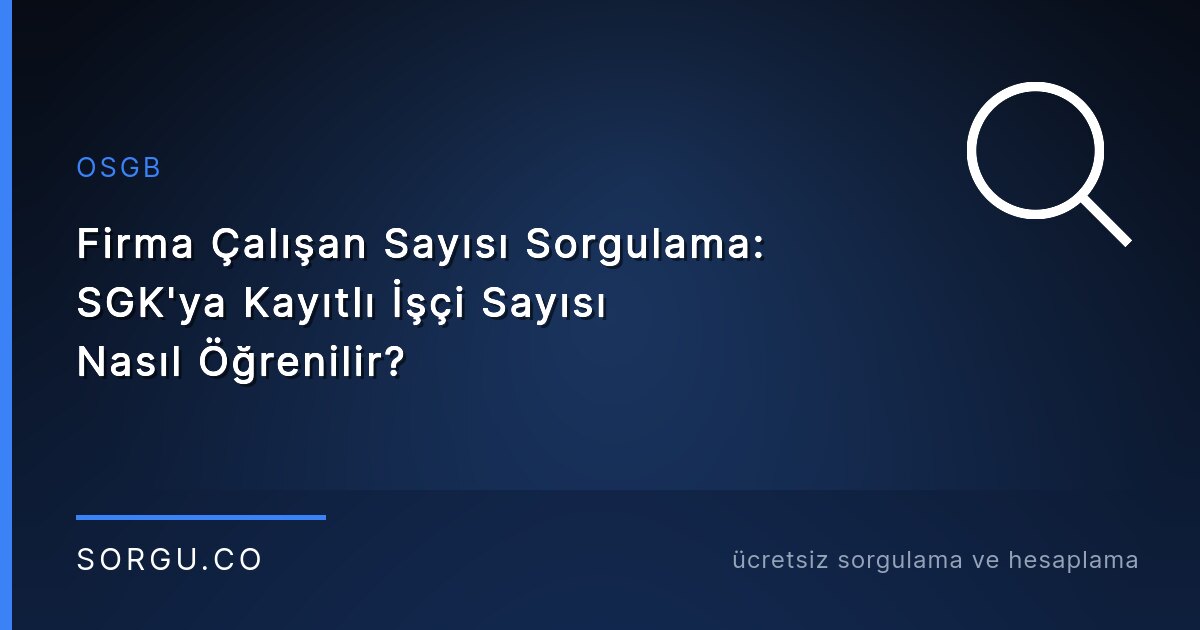 Firma Çalışan Sayısı Sorgulama: SGK'ya Kayıtlı İşçi Sayısı Nasıl Öğrenilir?